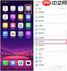 OPPOA3HDý̳