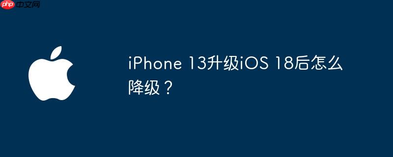 iPhone 13iOS 18ô