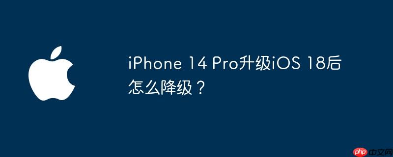 iPhone 14 ProiOS 18ô