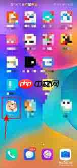ȹapp޸ʵ֤