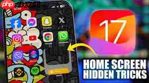 iPhoneĻС