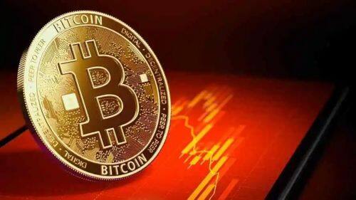 CCOINδչȫ򲼾