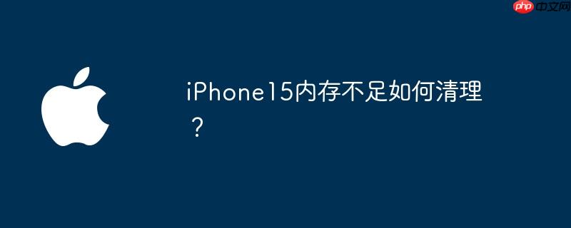 iPhone15ڴ治
