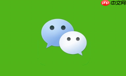΢°ߣˣĿԽiOS