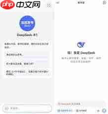 ΪʹDeepSeek