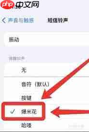 iPhoneֻοʾ