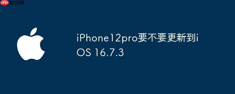 iPhone12proҪҪµiOS 16.7.3