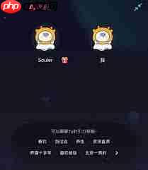 soulж˻ܿ20ǰ