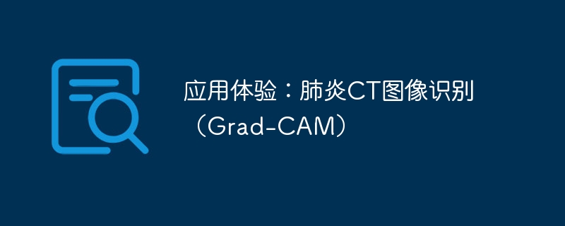 Ӧ飺CTͼʶGrad-CAM