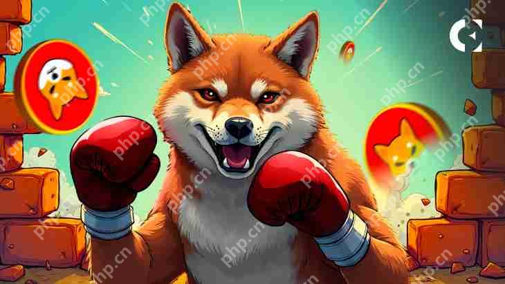 Dogecoin¶֣ƴ