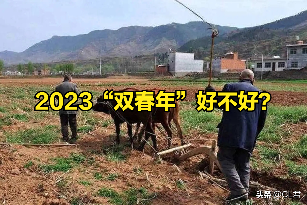 ˫û2024ũָ