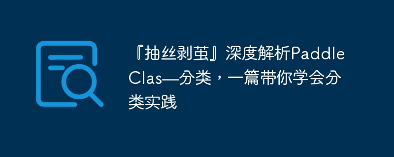 ˿롻ȽPaddleClas࣬һƪѧʵ