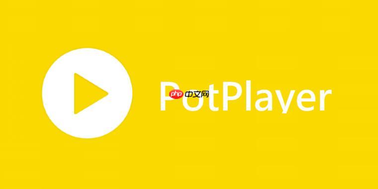 PotPlayerѭ PotPlayerѭ÷