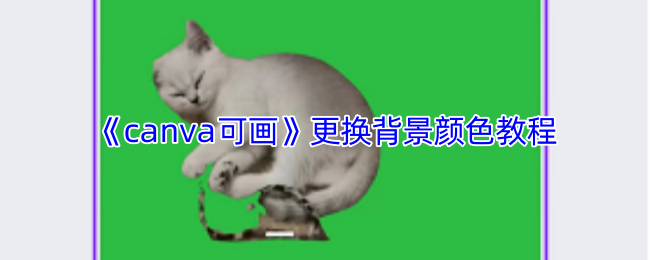 canvaɻɫ̳