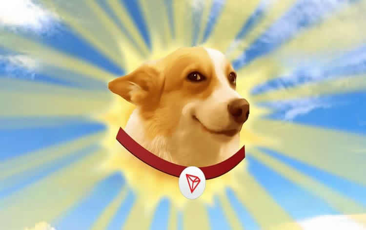 ͦSUNDOGұǽδԤ