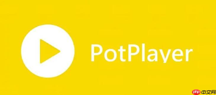 PotPlayerνƵ PotPlayer