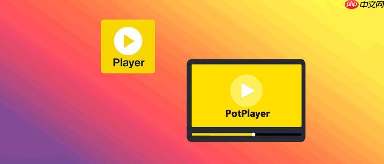 PotPlayerôĻ PotPlayerĻʹָ