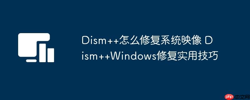 Dism++ô޸ϵͳӳ Dism++Windows޸ʵü