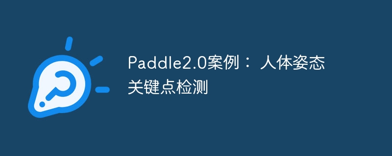 Paddle2.0 ̬ؼ
