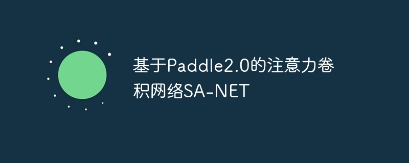 Paddle2.0עSA-NET
