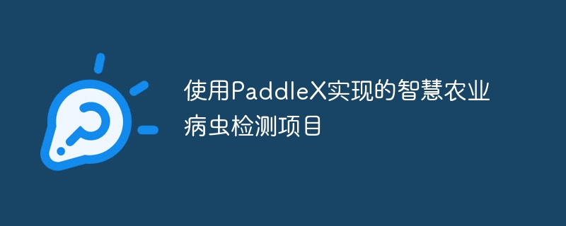 ʹPaddleXʵֵǻũҵĿ