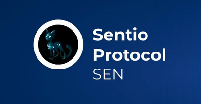 SENҰٱǱأͶʵĹؼָ