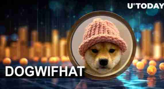dogwifhat⣺г
