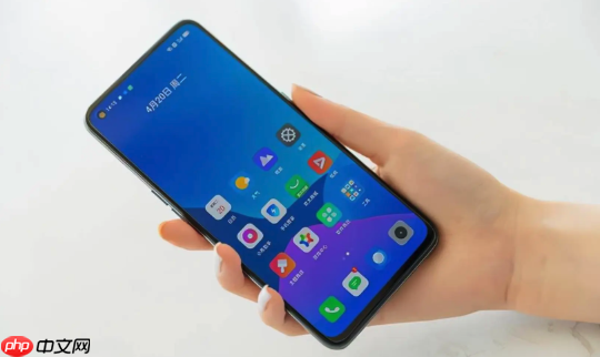 ԤӦרҵ 5ȨAPPԱ
