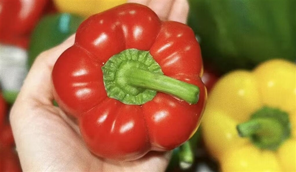ŮӸŮԲʽ룺Ⱦ