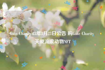 ذ˶Gate Charity NFT