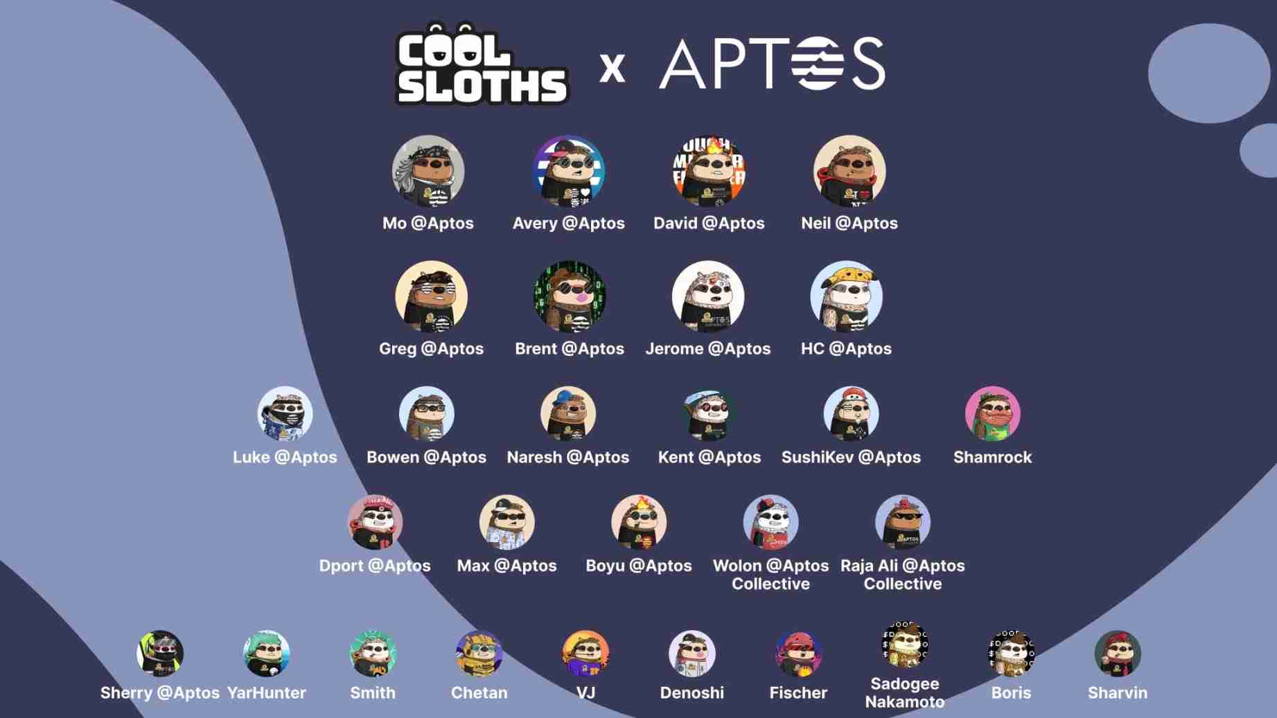 AptosNFTCool SlothsĿȫ