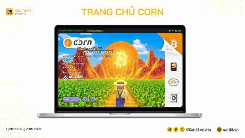 CornBTCNȼܷδ