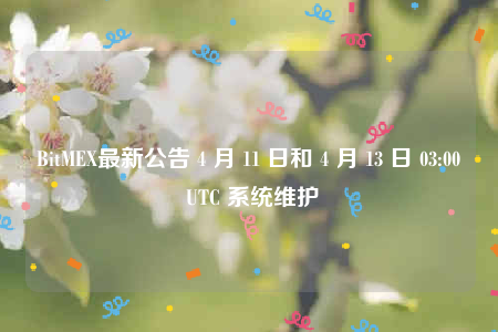 BitMEXά棺4½ǣ