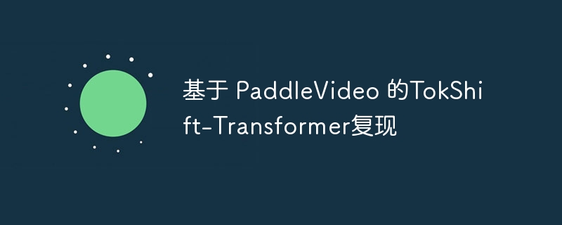  PaddleVideo TokShift-Transformer