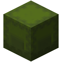 ҵɫǱӰô