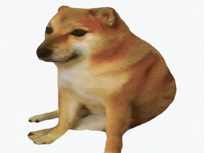 8·ǵ