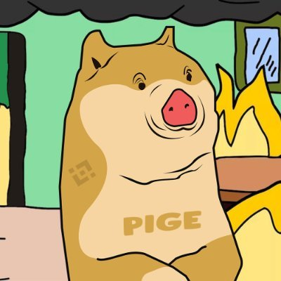 PINU(Pige Inu)?