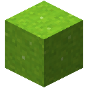 ҵɫĩô