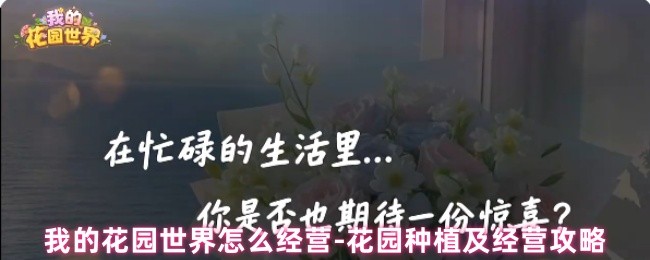 ҵĻ԰硷԰ֲӪ