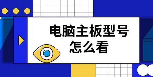 ͺô