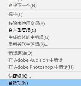 Adobe Premiere pro 2020ô۸Ϊɫ
