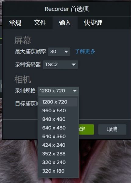 Camtasia StudioͷС