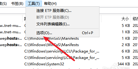 Everything如何设置搜索索引_wishdown.com Everything如何设置搜索索引_wishdown.com