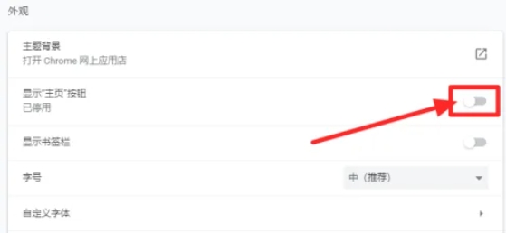 Google浏览器怎么设置主页_wishdown.com Google浏览器怎么设置主页_wishdown.com
