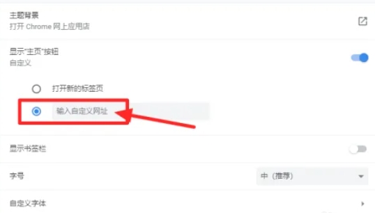 Google浏览器怎么设置主页_wishdown.com Google浏览器怎么设置主页_wishdown.com