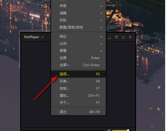 PotPlayerԶ갴