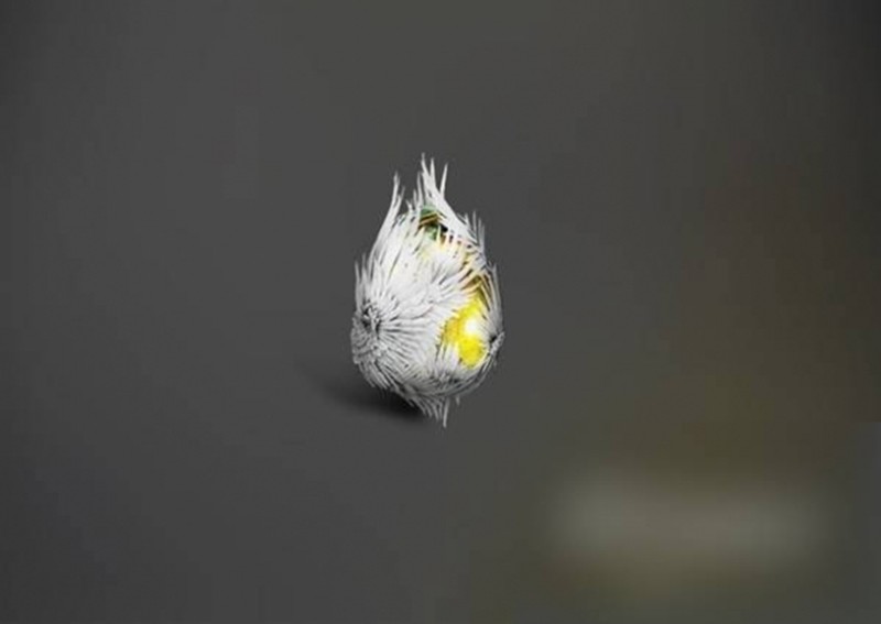 Ͻ֮ʲôЧ
