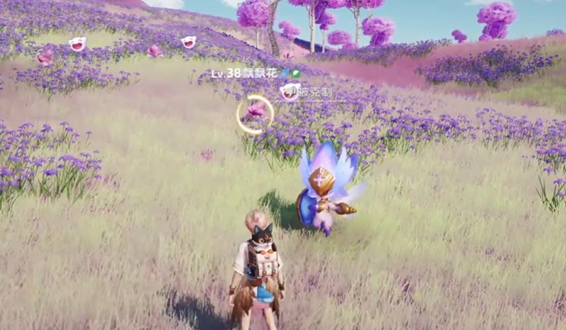 伊莫鸢尾花海地图怎么玩_wishdown.com 伊莫鸢尾花海地图怎么玩_wishdown.com