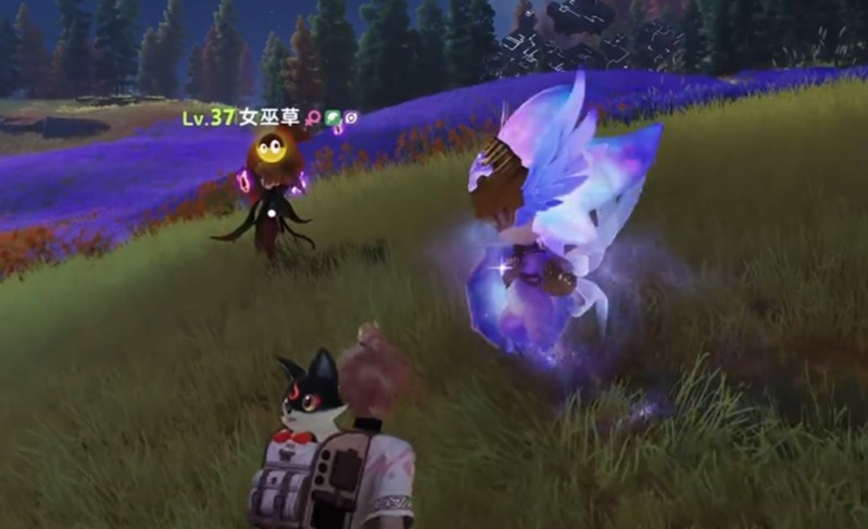 伊莫鸢尾花海地图怎么玩_wishdown.com 伊莫鸢尾花海地图怎么玩_wishdown.com