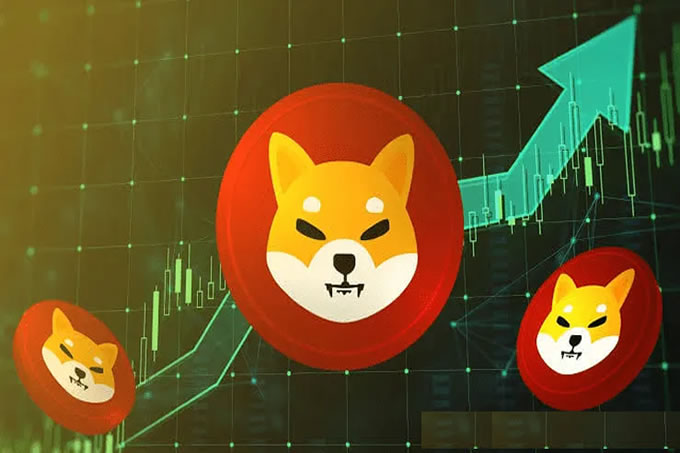 Ͷ$1000 SHIB Ϊ